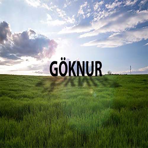 Gölgeleme Çalışması